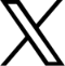 ALTERSKYロゴ